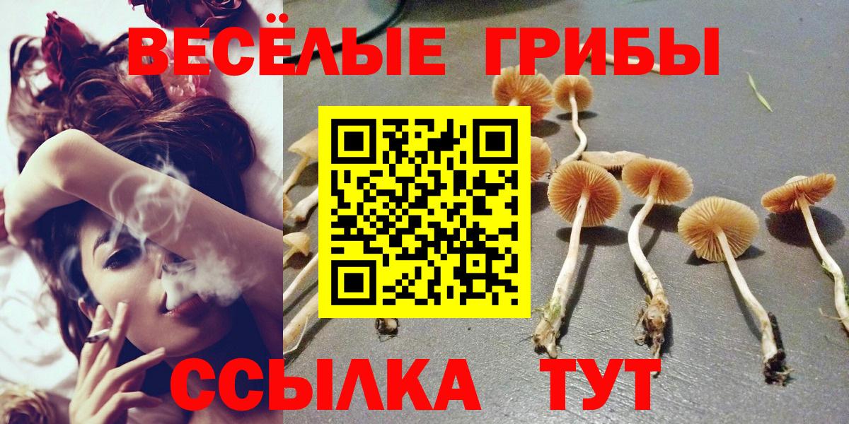 Псилоцибиновые грибы Cubensis Борисоглебск